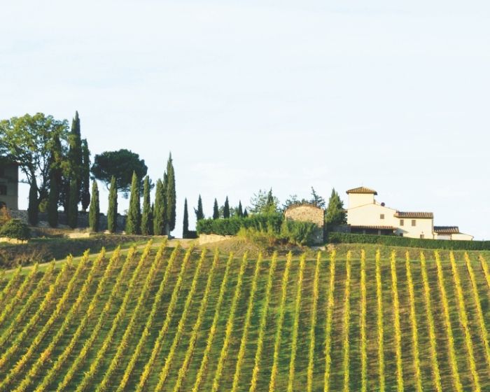 Vino Weinhandel im Gewerbepark
